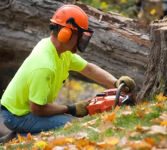 tree services Lutcher